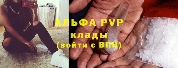 индика Арсеньев