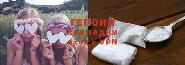 индика Арсеньев