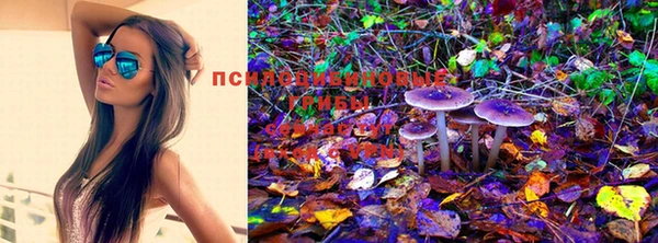 прущая мука Аркадак
