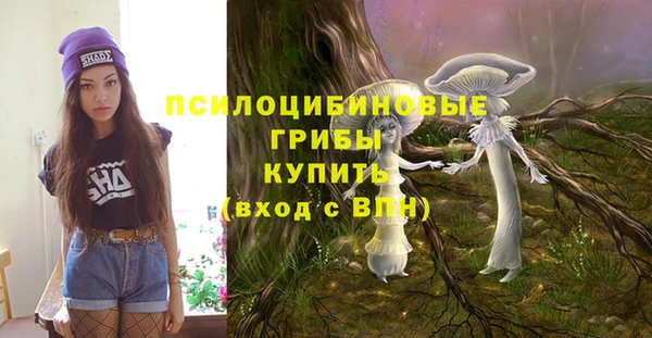 индика Арсеньев