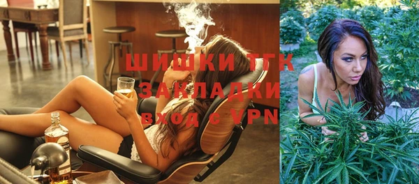 индика Арсеньев