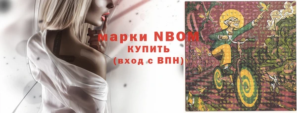 индика Арсеньев